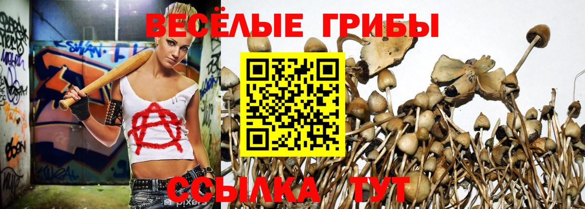 купить закладку  Галлюциногенные грибы Magic Shrooms  Вход с VPN  Муром 